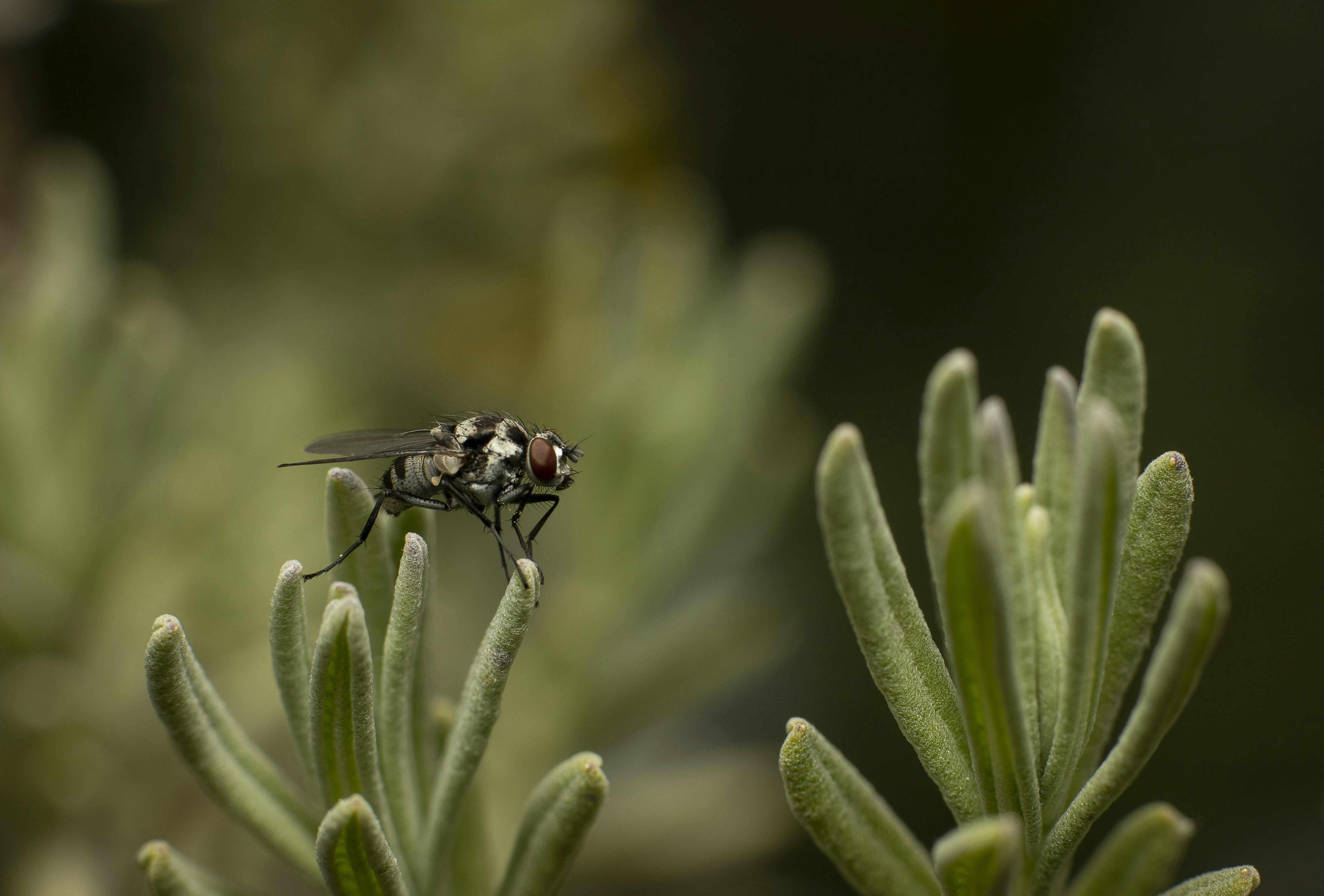 Photo by victor_vector