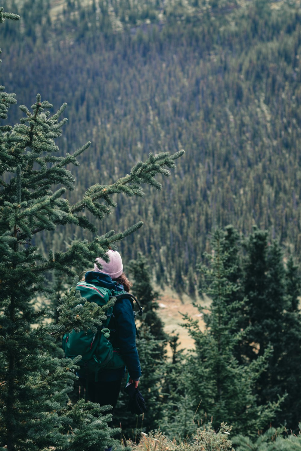 person in green jacket and white knit cap standing in front of green trees during daytime