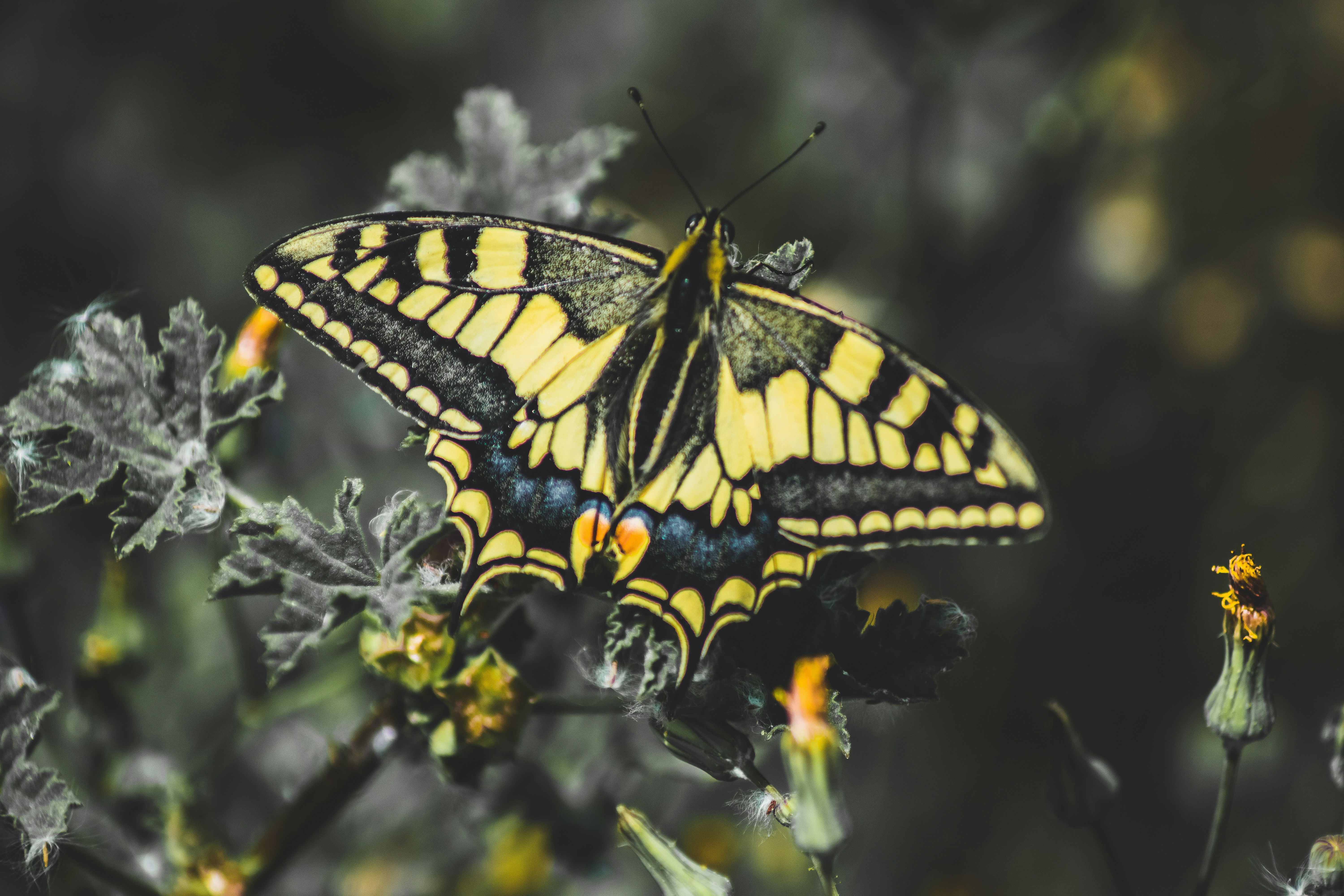 Photo by framesforyourheart