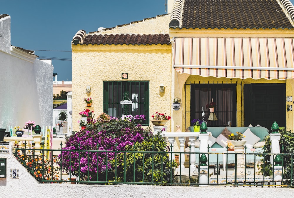 brown and white concrete house with purple flowers on the window