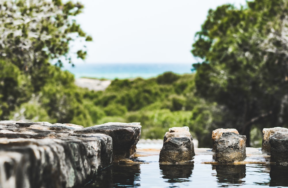 gray rock formation near body of water during daytime