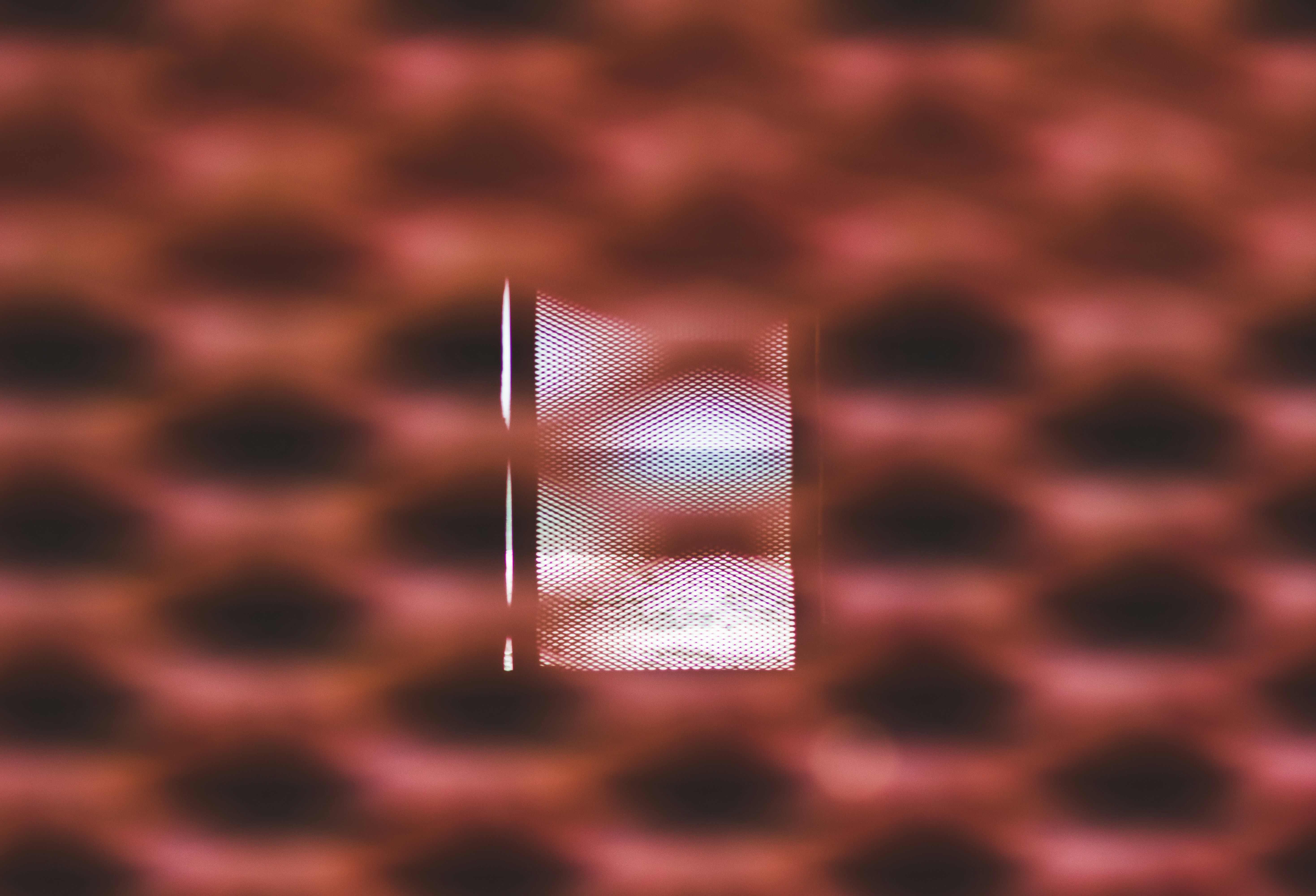 Photo by framesforyourheart