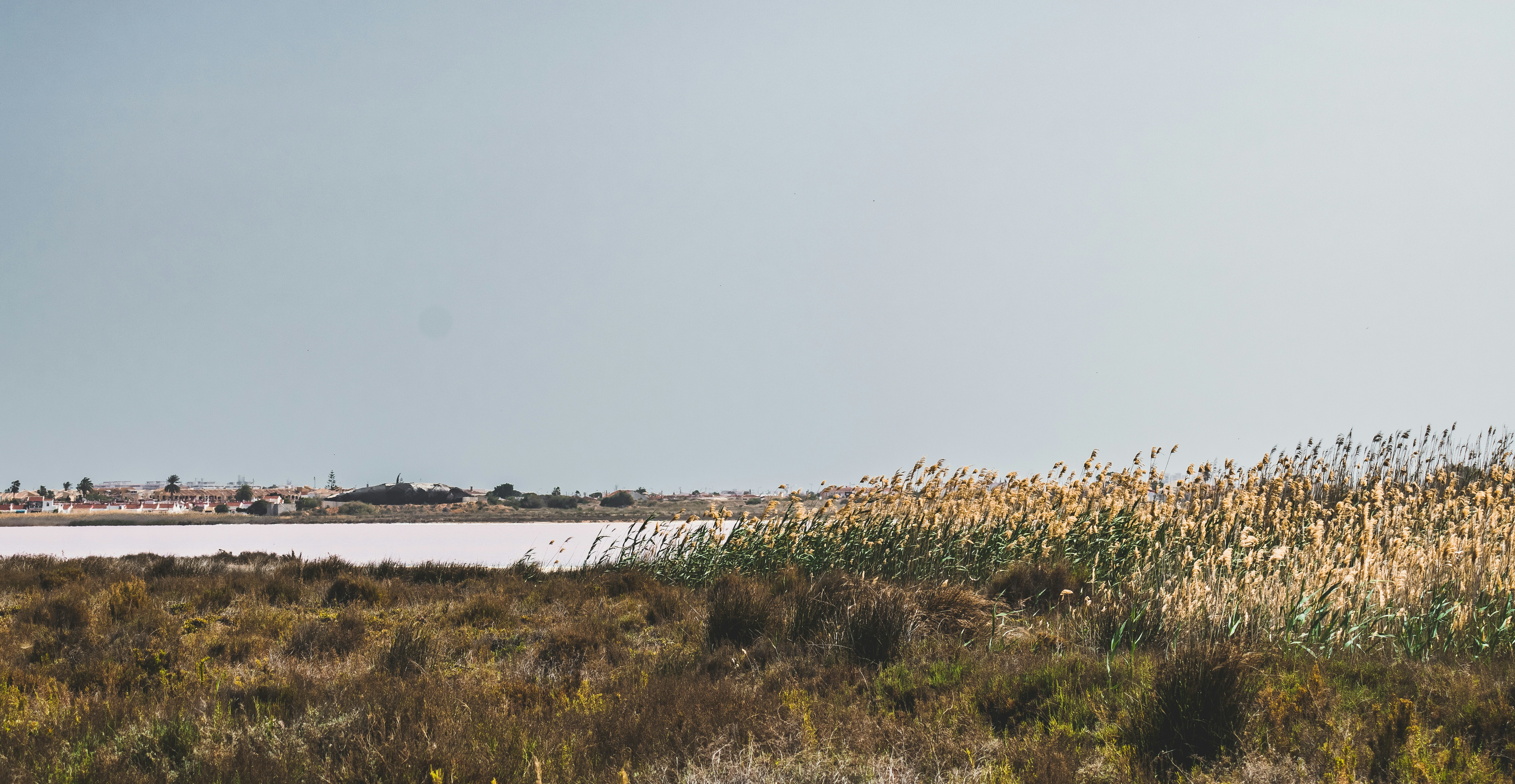 Photo by framesforyourheart