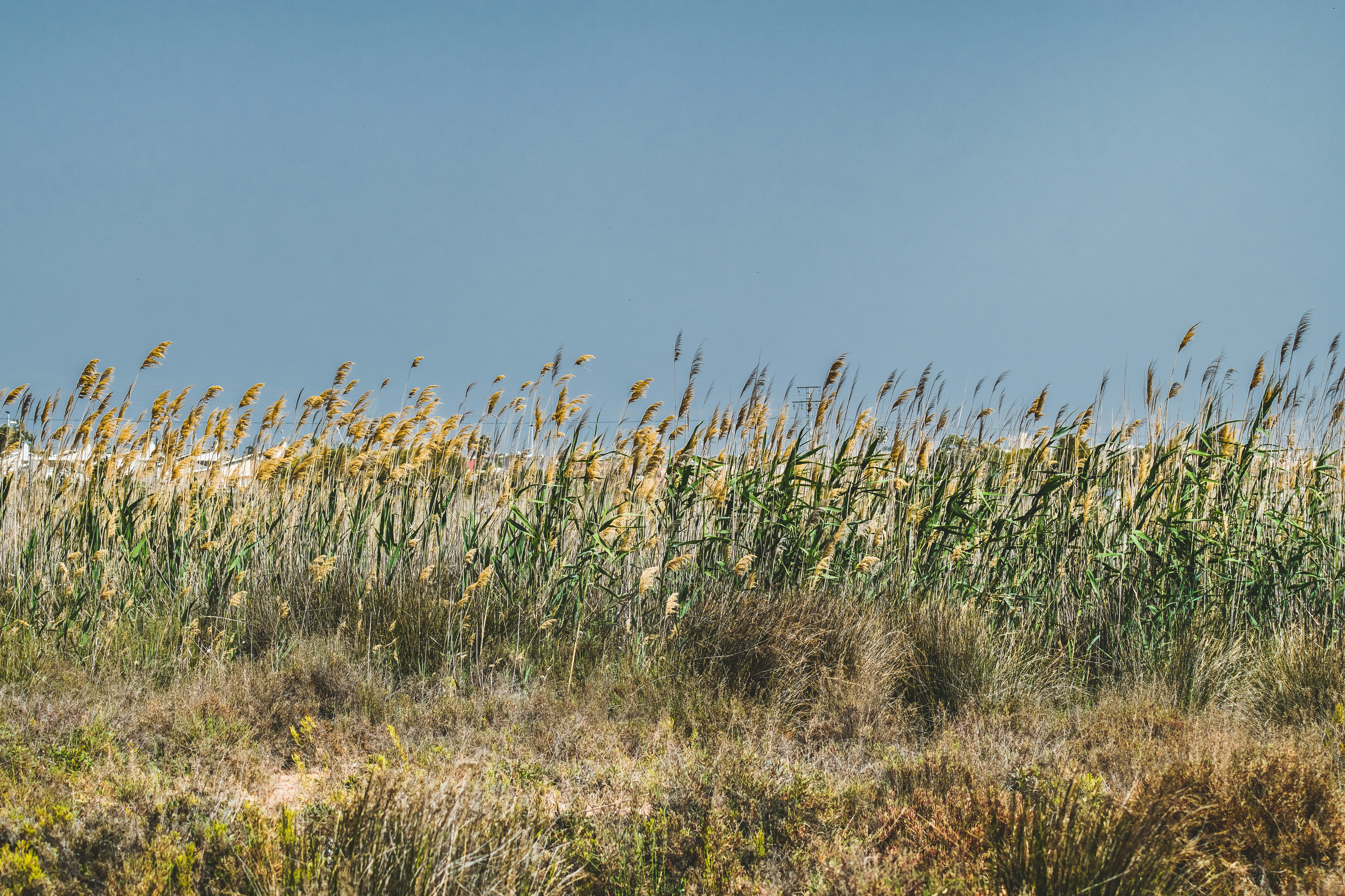 Photo by framesforyourheart