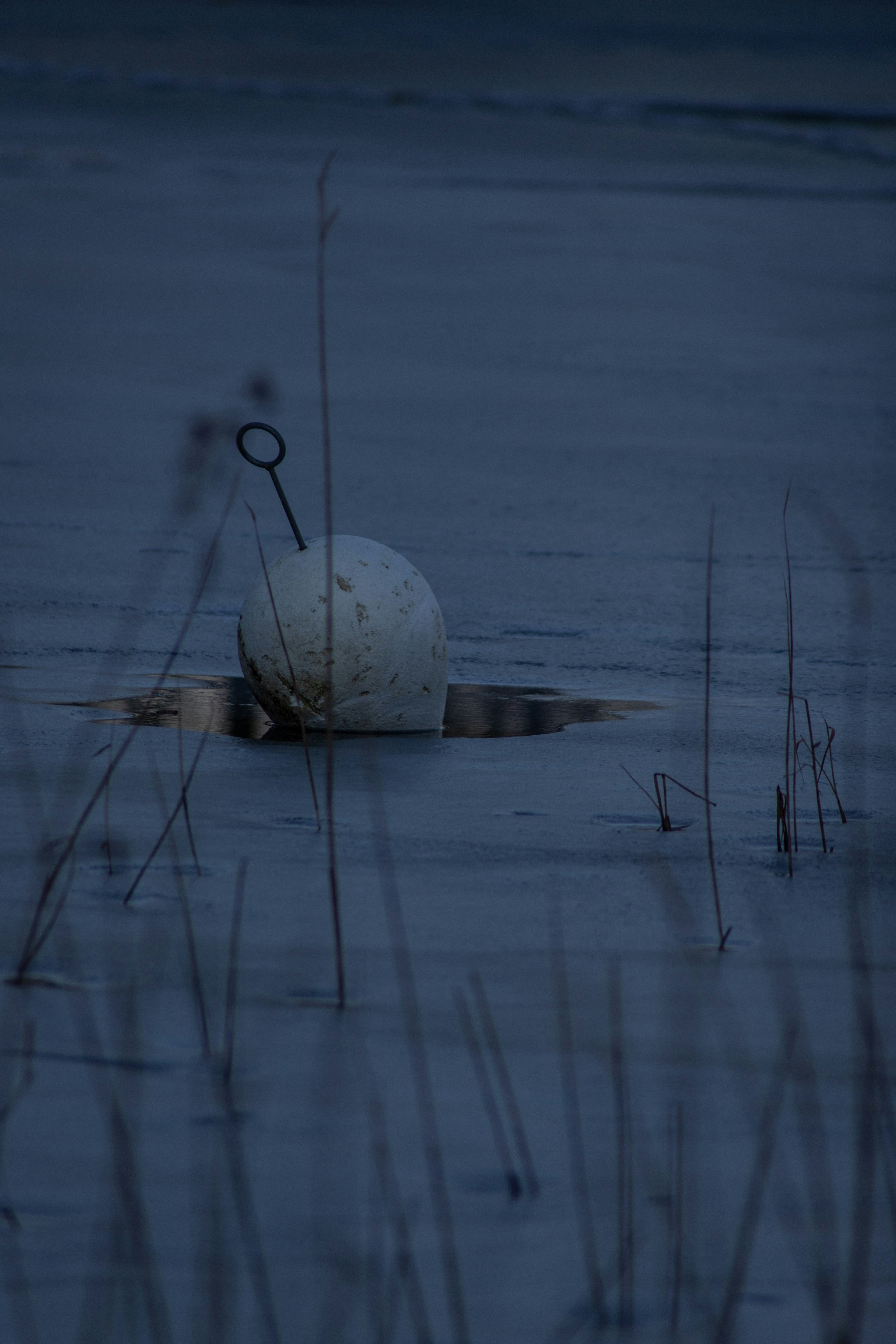 水面上の白いボールの写真 Unsplashで見つけるグレーの無料写真