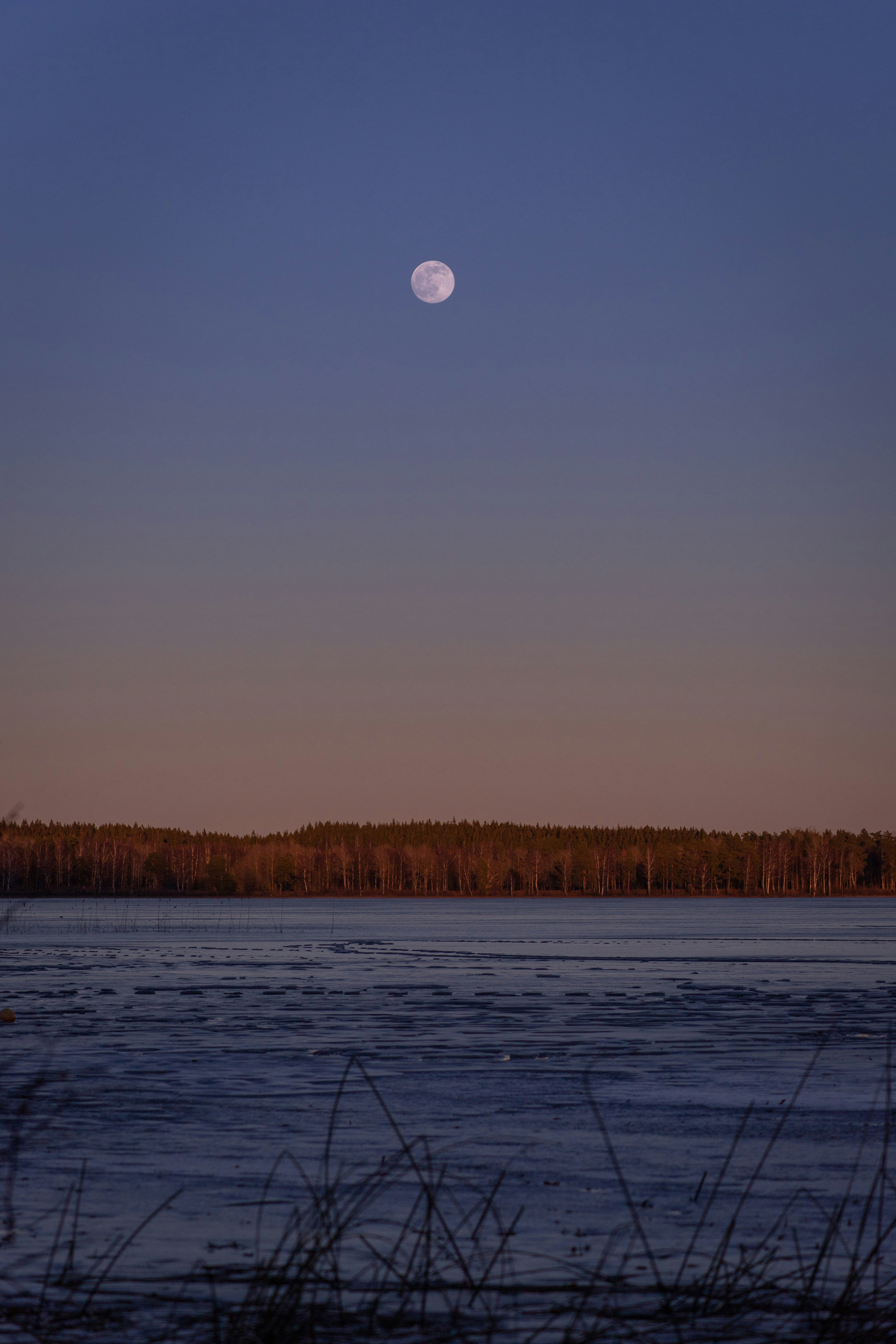 Photo by magnusostberg