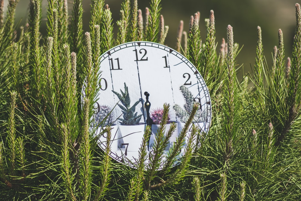 Reloj analógico blanco y negro sobre hierba verde