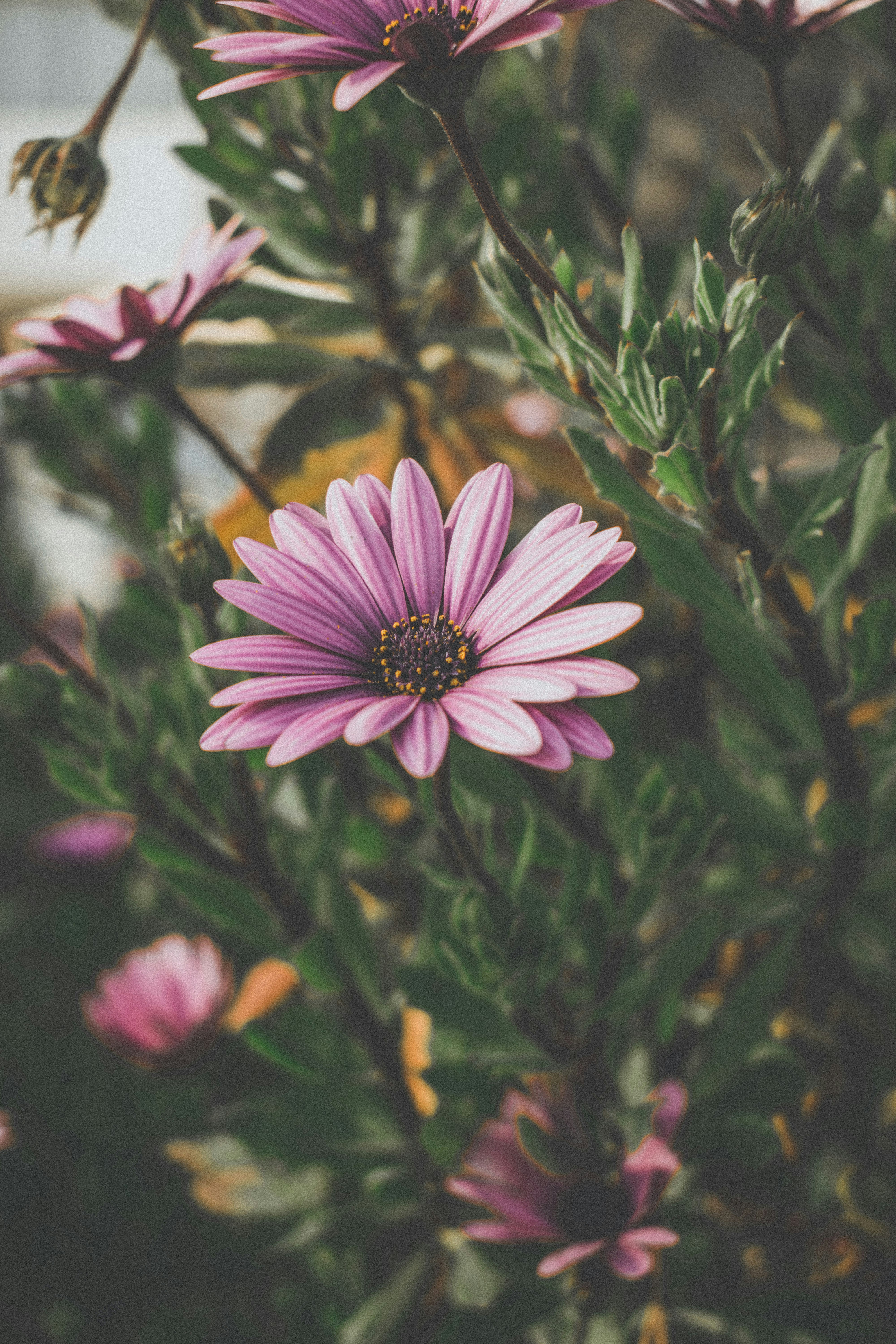 Photo by bilal_ayadi