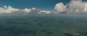 Wide shot of the planted forest landscape under a clear Paraná sky.