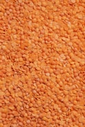 Premium Turkish Lentils for importers and wholesale buyers
