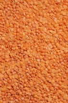 Premium Turkish Lentils for importers and wholesale buyers