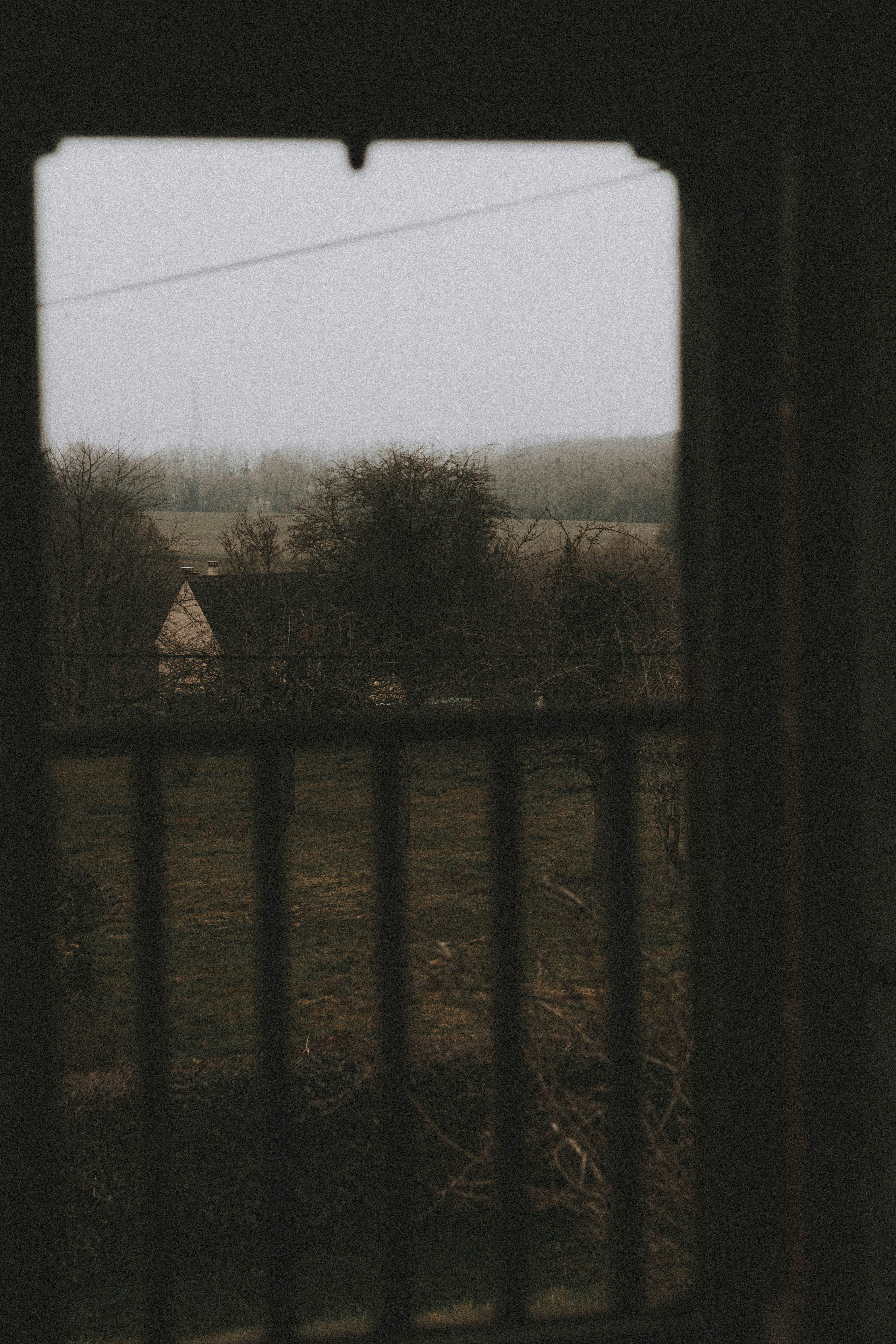 Photo by matreding