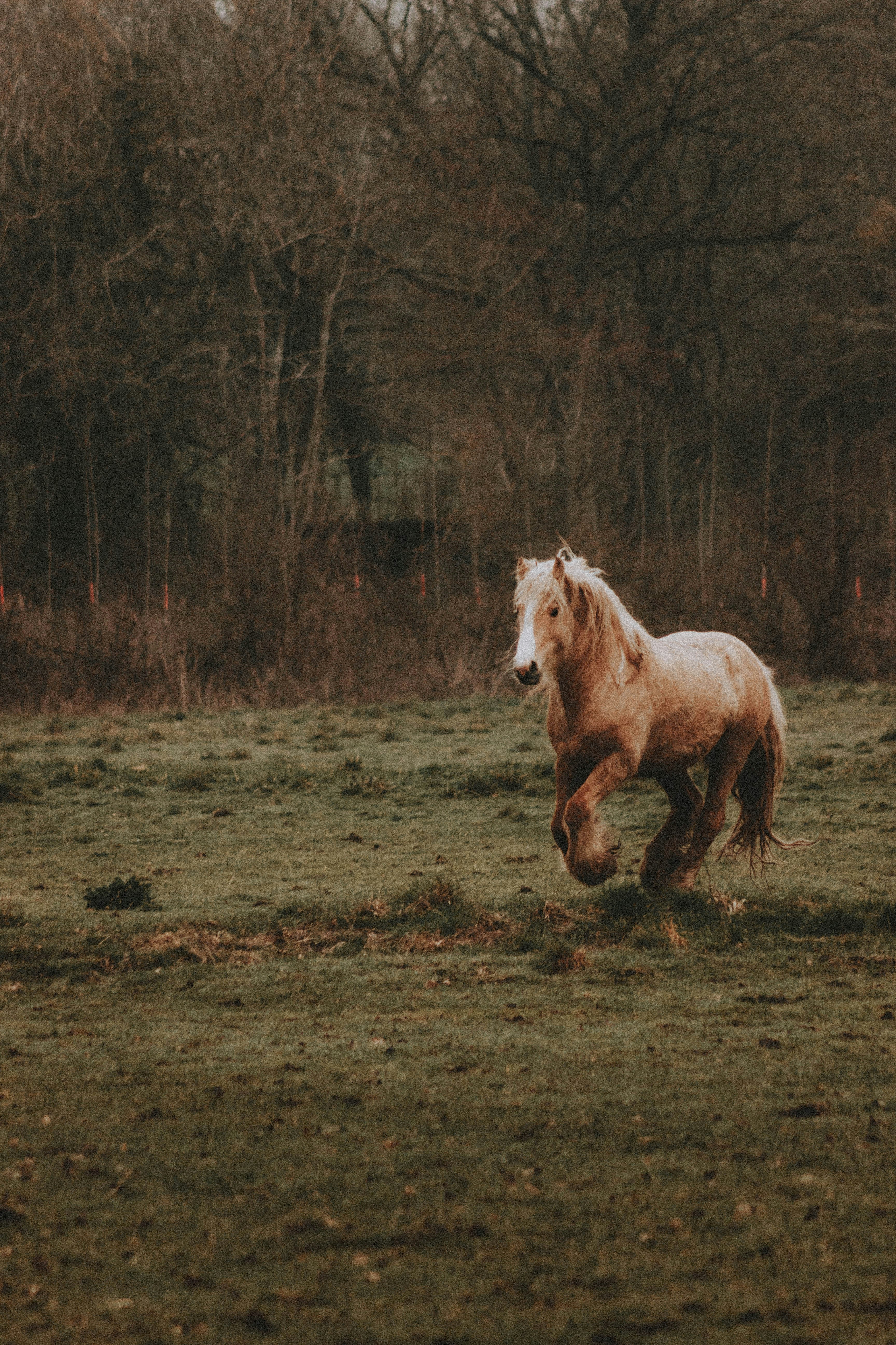 Photo by matreding