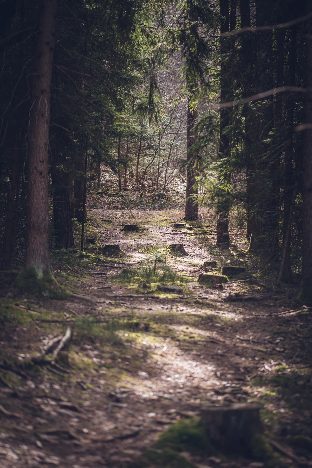 Redmond Watershed Midsummer Hike
