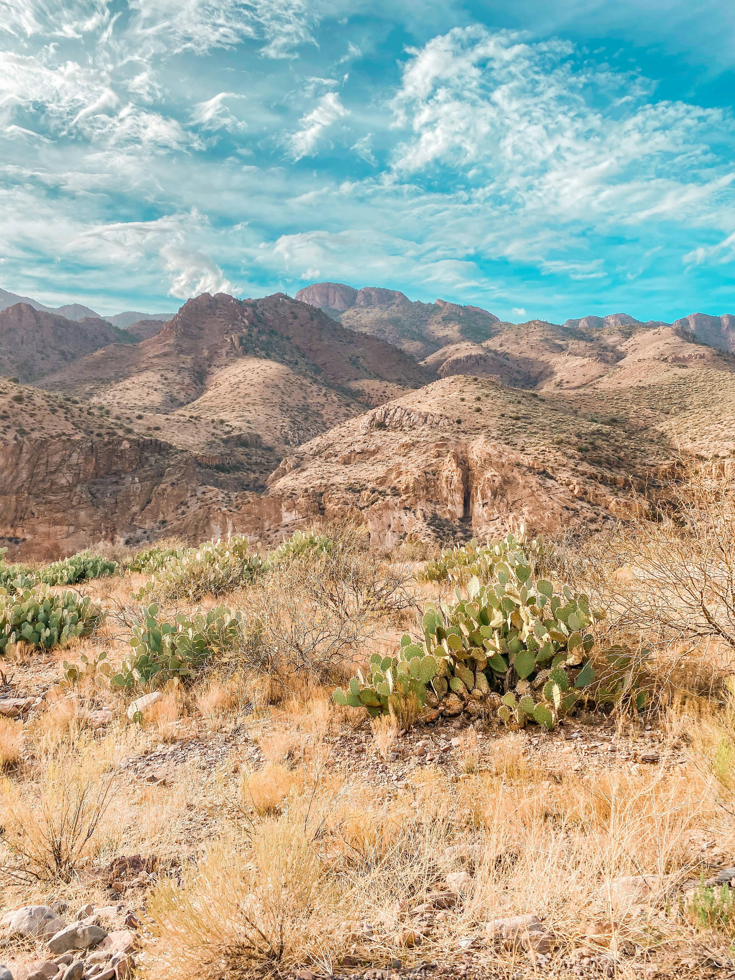 Photo by tarc_maylor