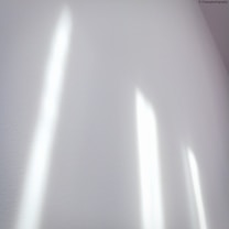 Soft, diffused light casts elongated, blurred shadows on a plain white surface, creating a tranquil and minimalist visual effect.