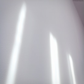 Soft, diffused light casts elongated, blurred shadows on a plain white surface, creating a tranquil and minimalist visual effect.