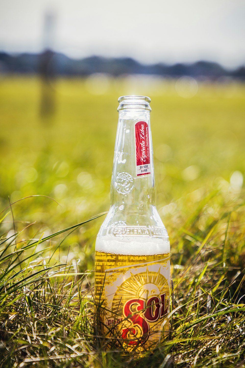 clear glass bottle on green grass during daytime