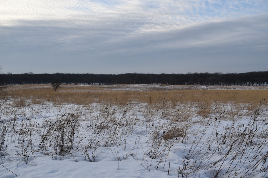 A wide open prairie field with rustic wooden vendor sheds under a soft winter sky.