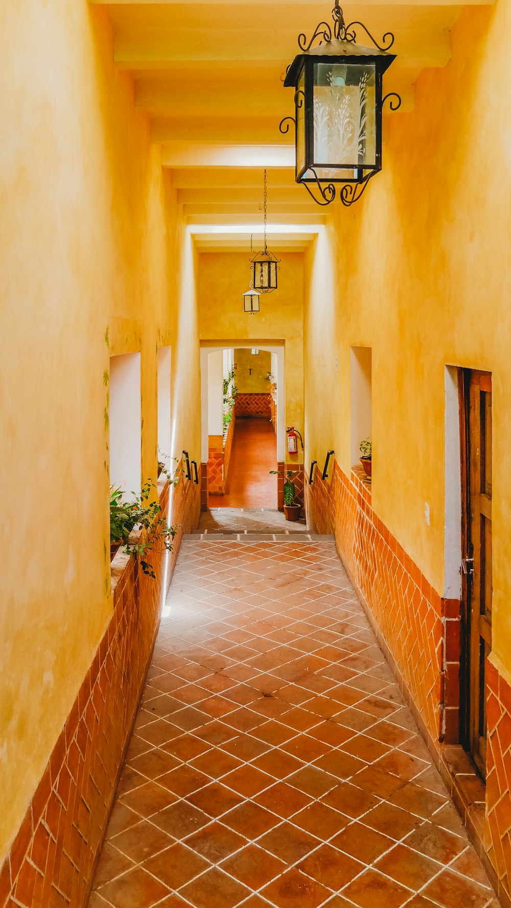 brown and white hallway with green plants