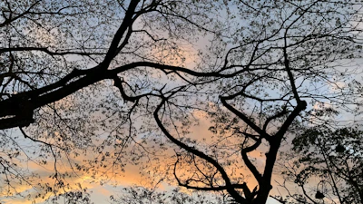 Wide canvas print in 16:9 ratio featuring a serene sunset scene.