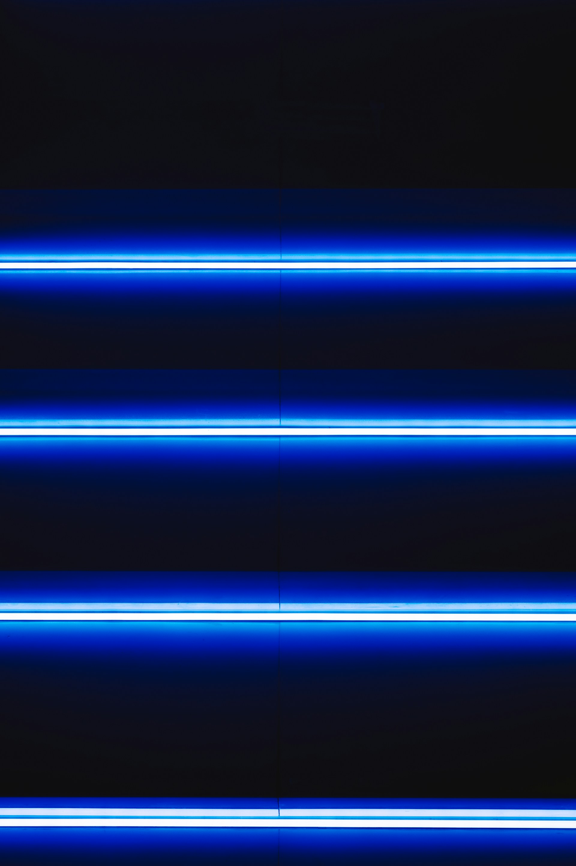 blue and white line illustration