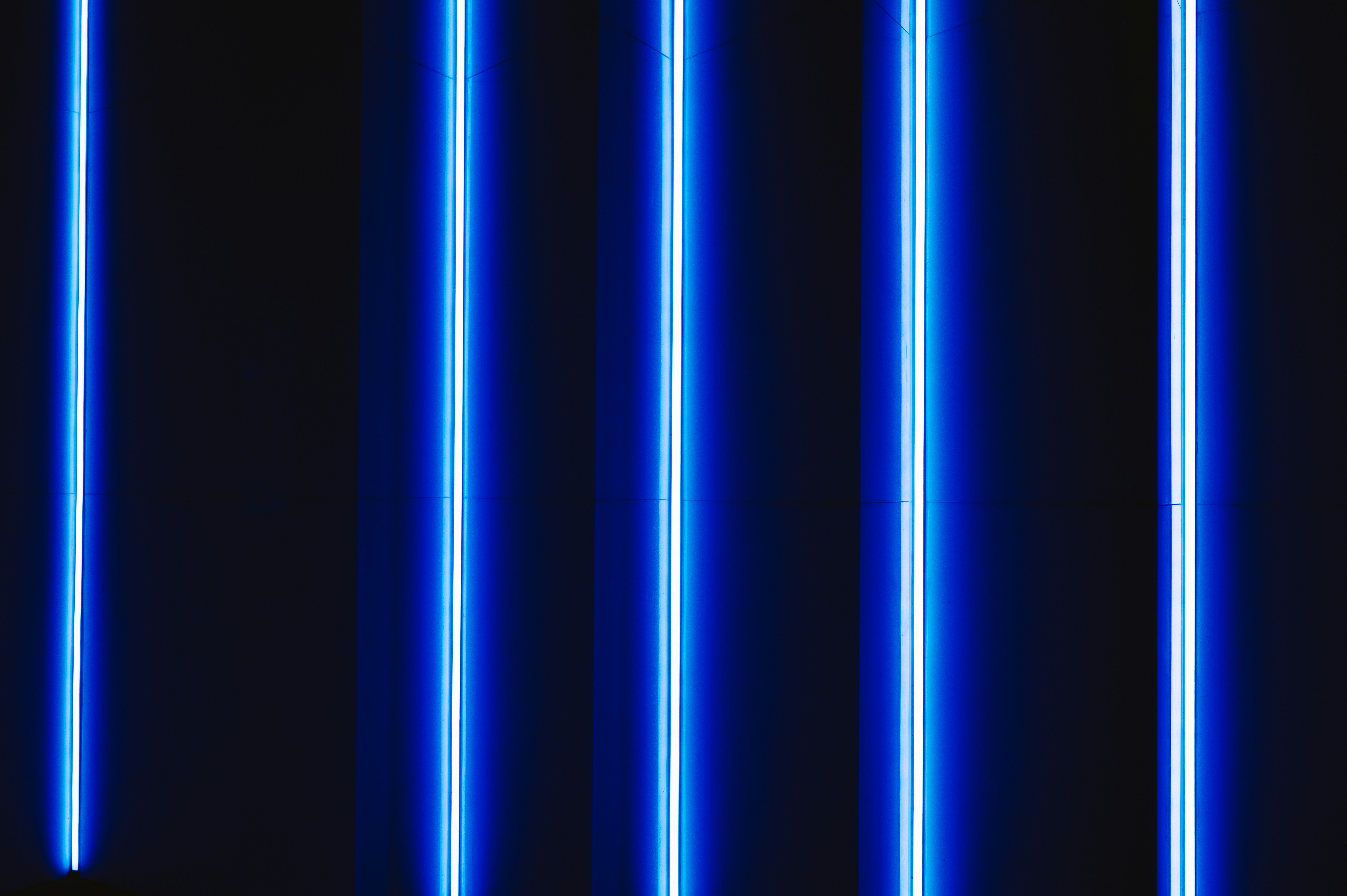 blue and white line illustration, 