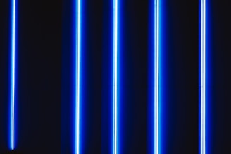 blue and white line illustration