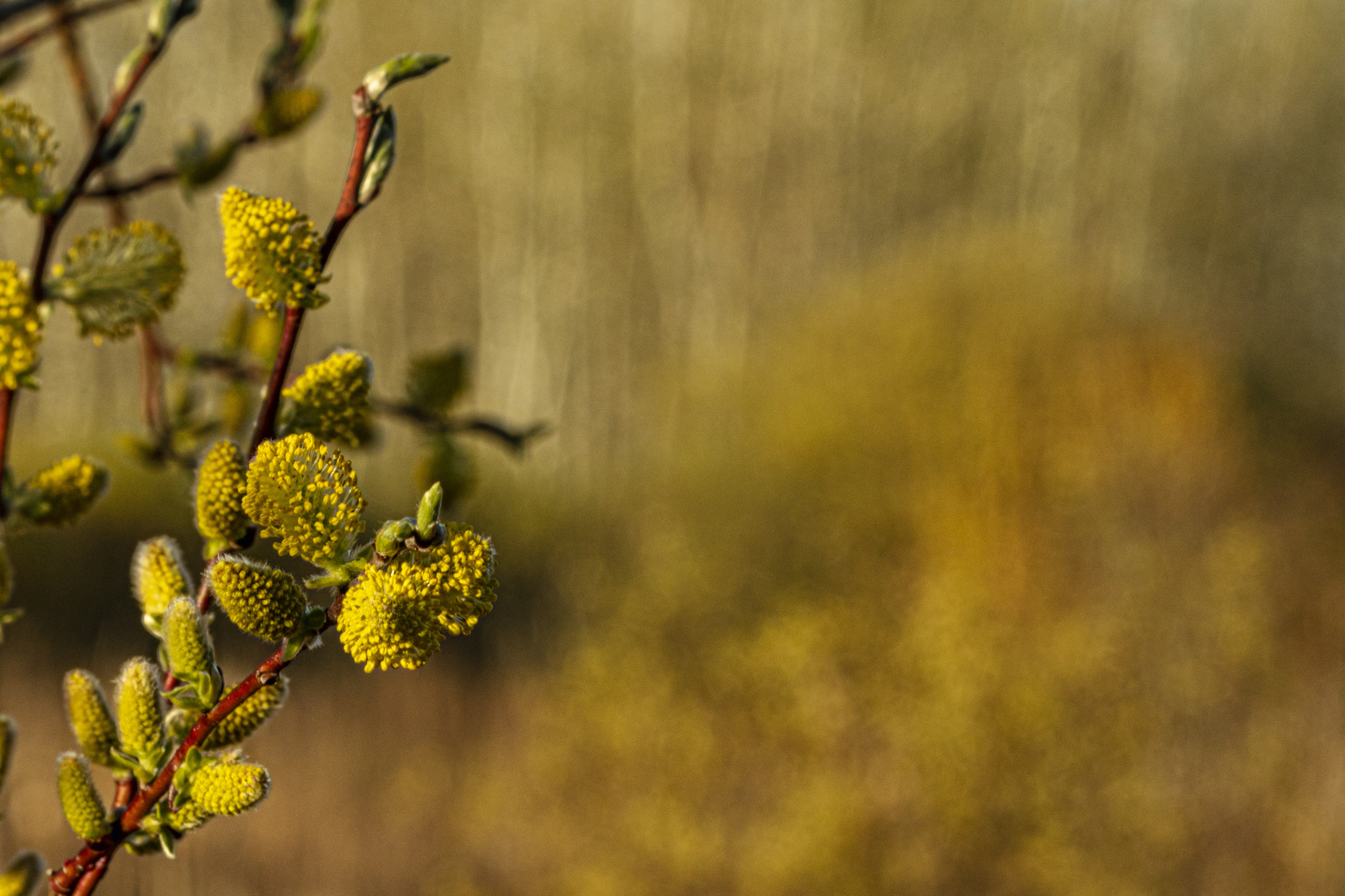 Photo by camerauthor