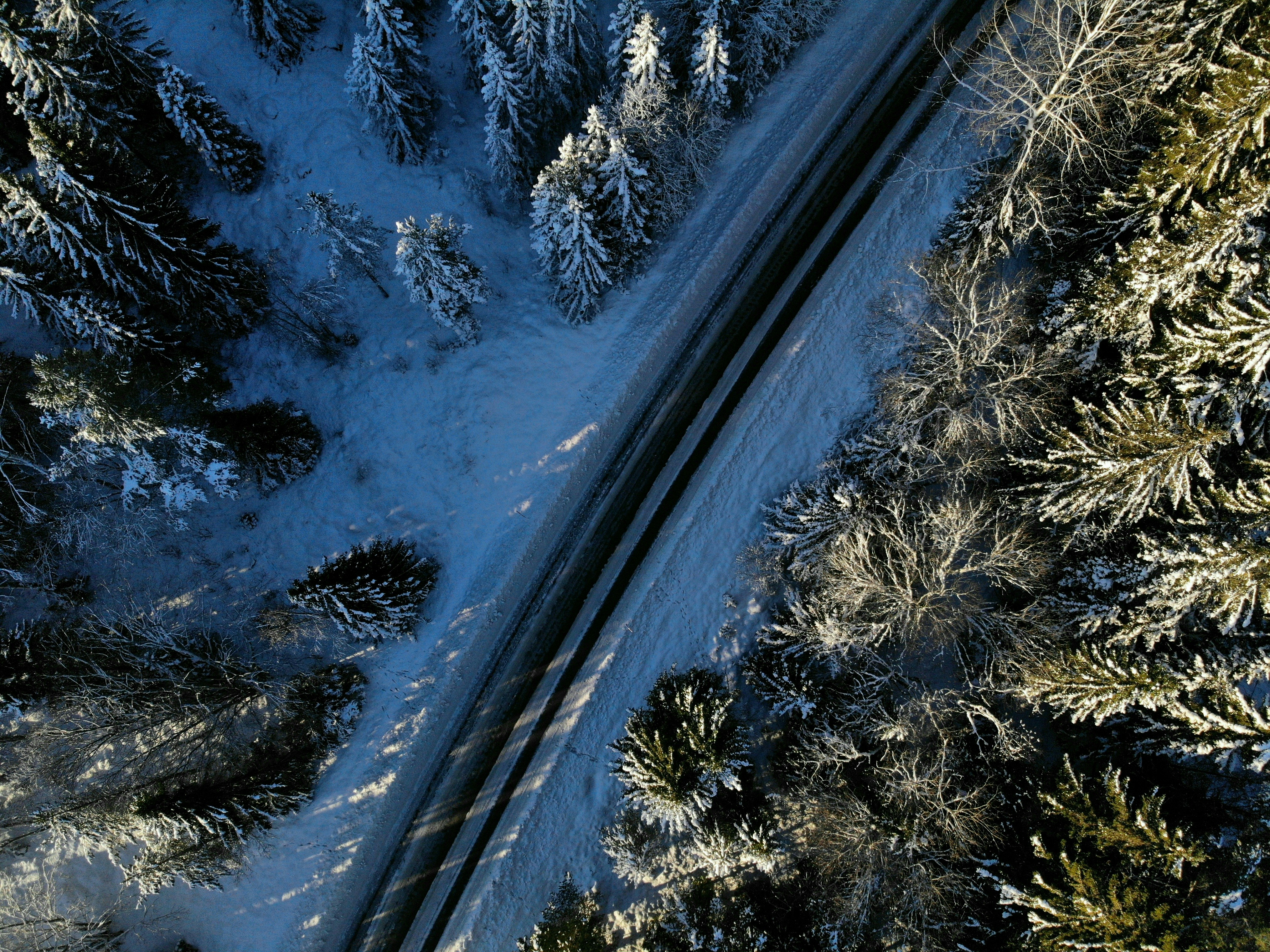 Photo by ragge_olsson