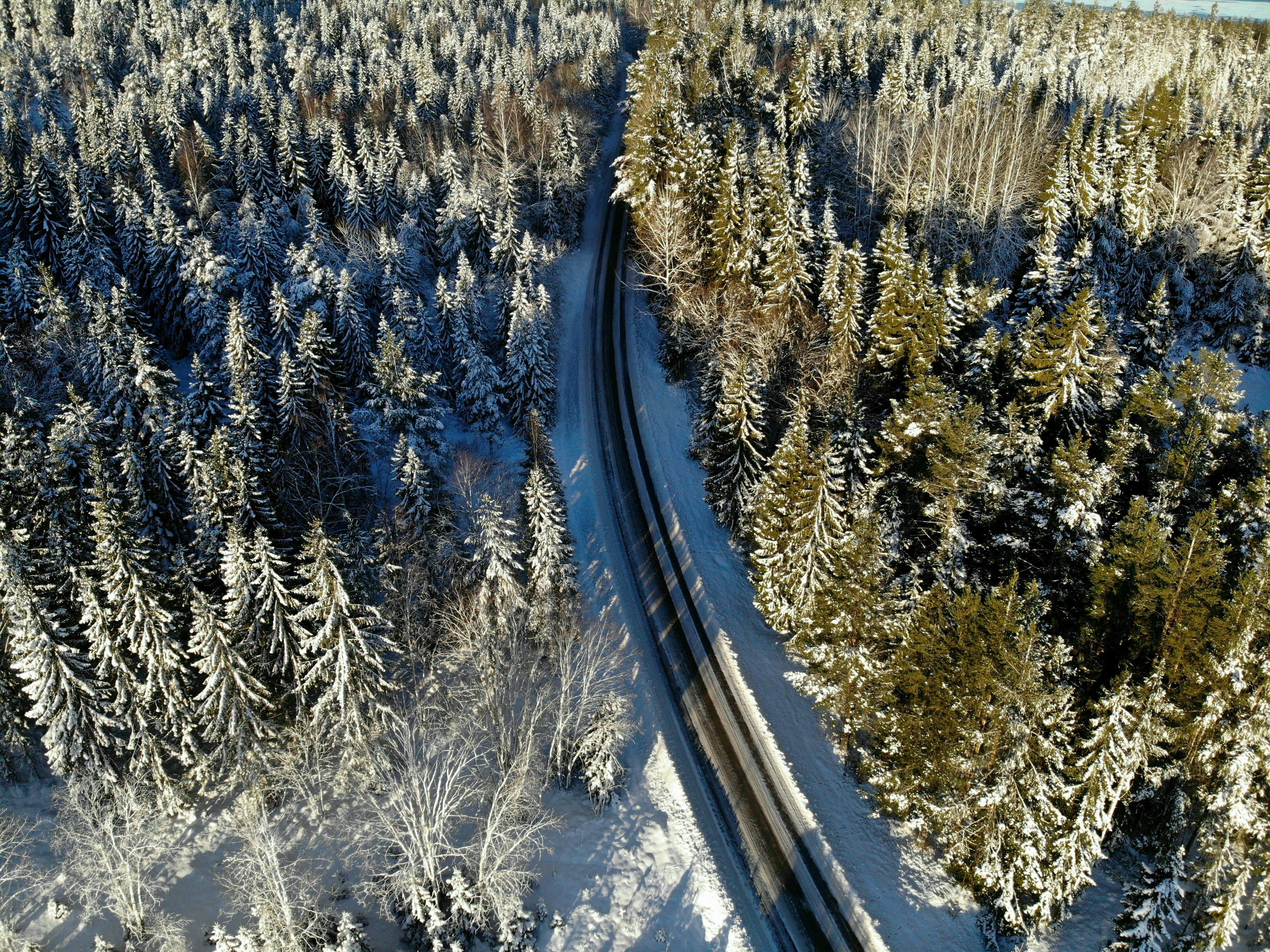 Photo by ragge_olsson