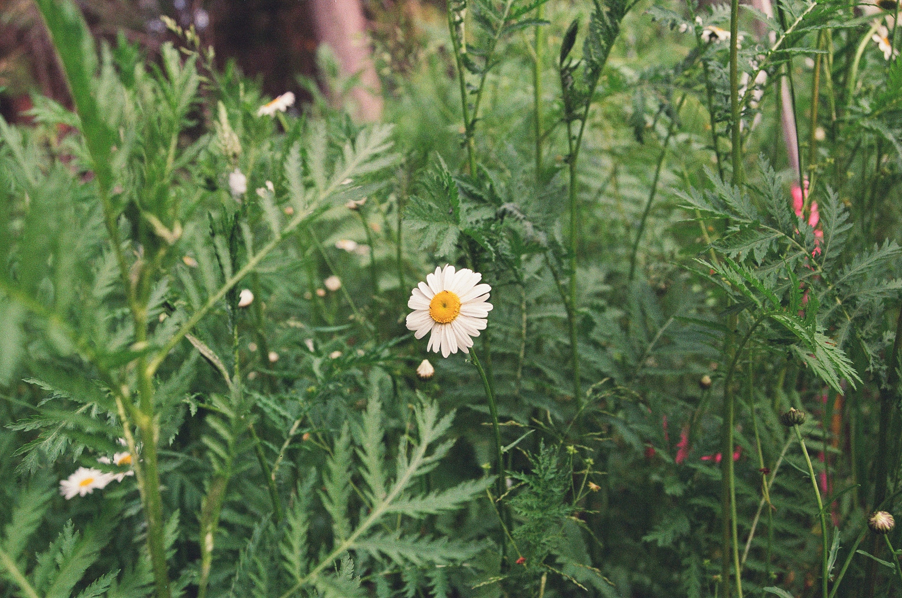 Photo by megnixon