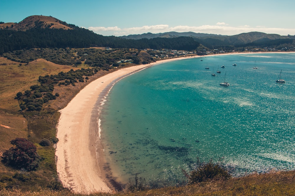 aerial view of beach during daytime