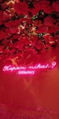 A wall adorned with lush red and pink roses with a neon sign underneath. The sign has pink neon lights displaying the text 'Kapan Nikah? bridestory'. The roses cascade from the top, creating a vibrant floral backdrop.