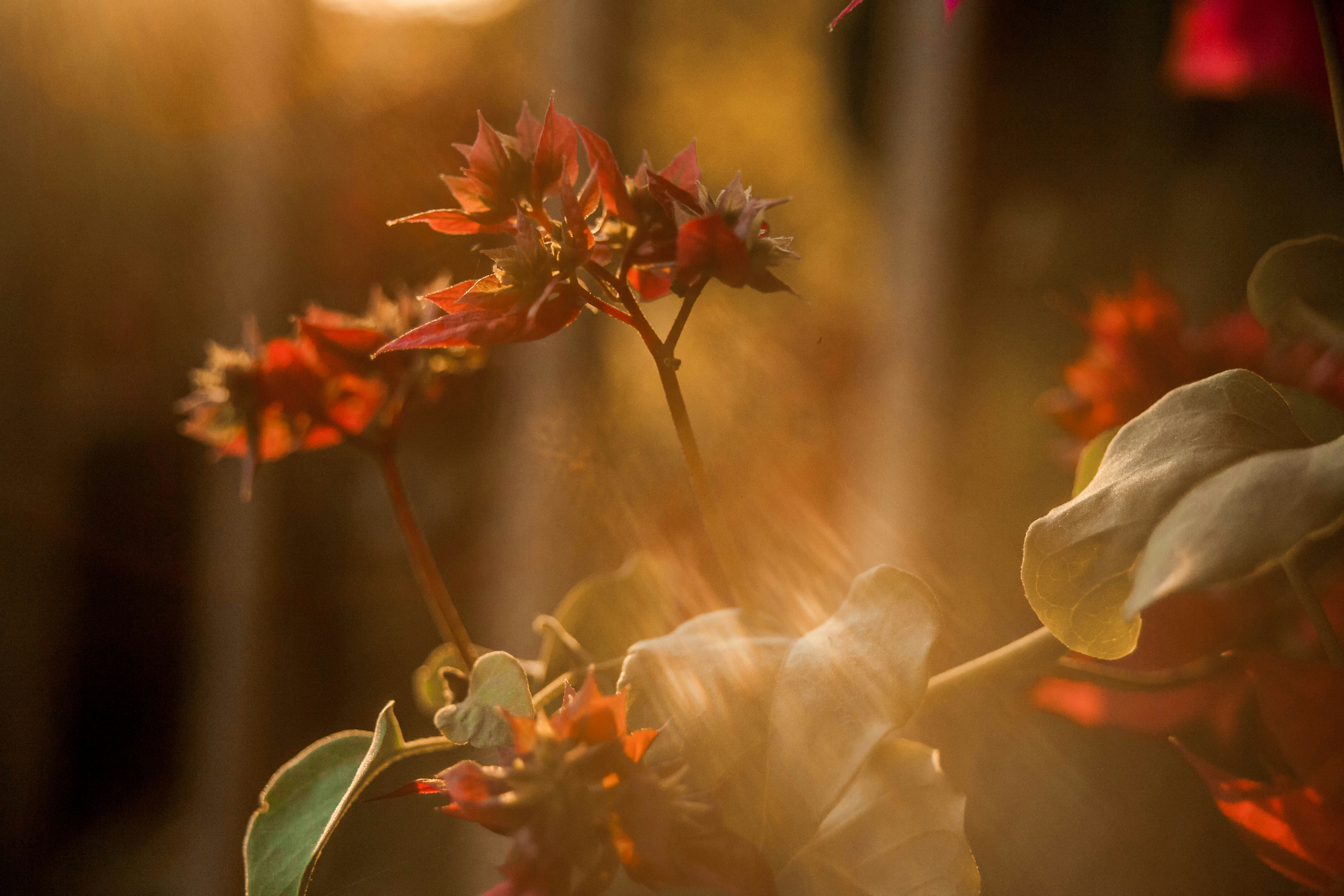 Photo by israelalfaroo