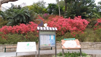 A garden scene with vibrant pink flowers and various green shrubs and trees in the background. An informational signpost is prominently placed in the foreground, featuring maps and text in both English and Chinese.