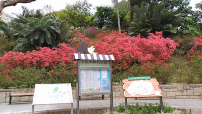 A garden scene with vibrant pink flowers and various green shrubs and trees in the background. An informational signpost is prominently placed in the foreground, featuring maps and text in both English and Chinese.