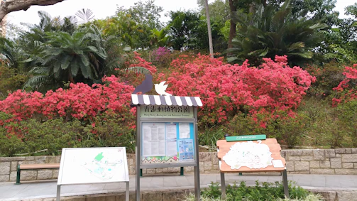 Close-up of a QR code sign beside blooming wildflowers in the garden.