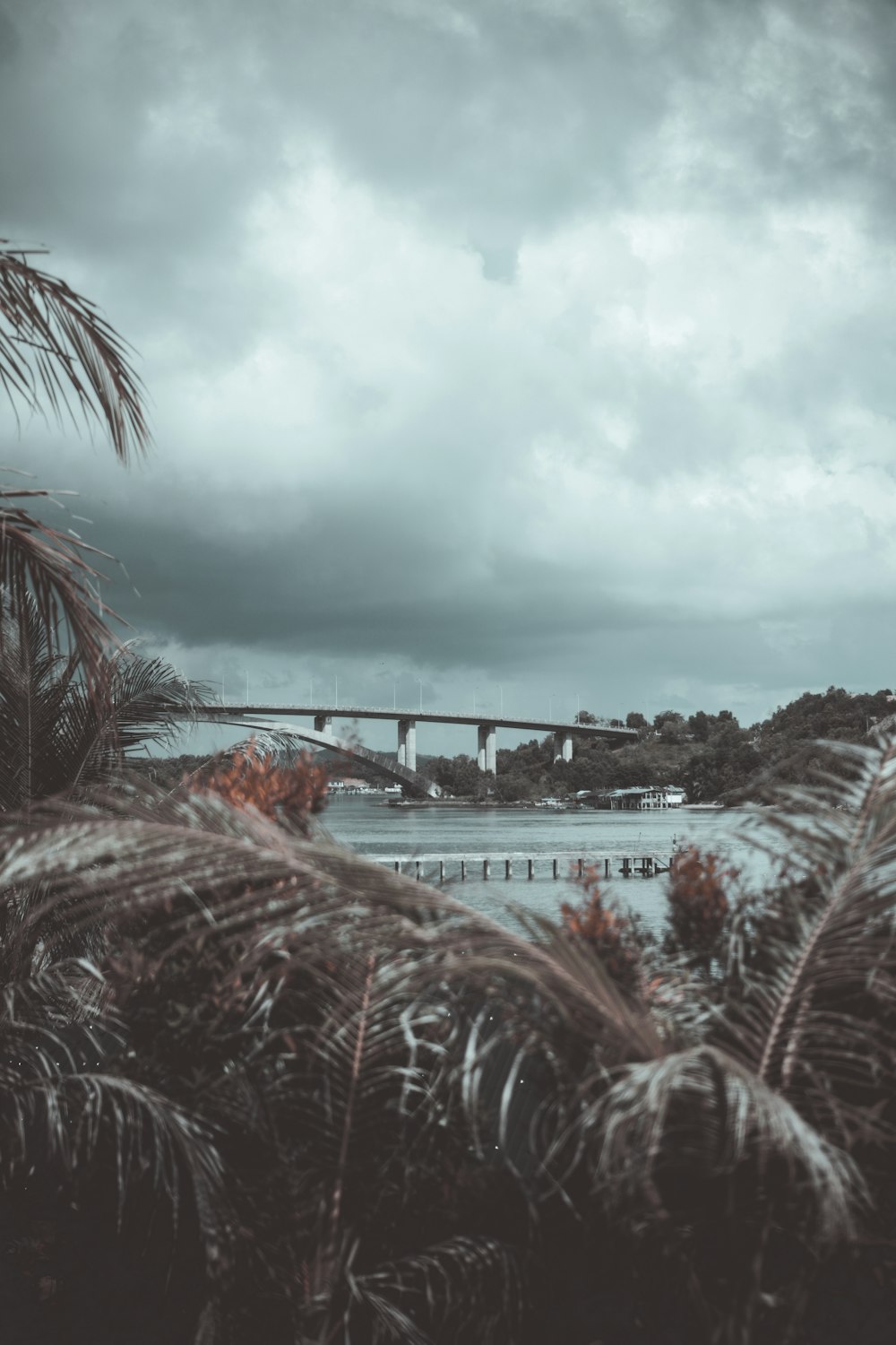 green palm trees near body of water under cloudy sky during daytime