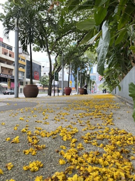 Volunteers planting flowers along a charming downtown sidewalk.