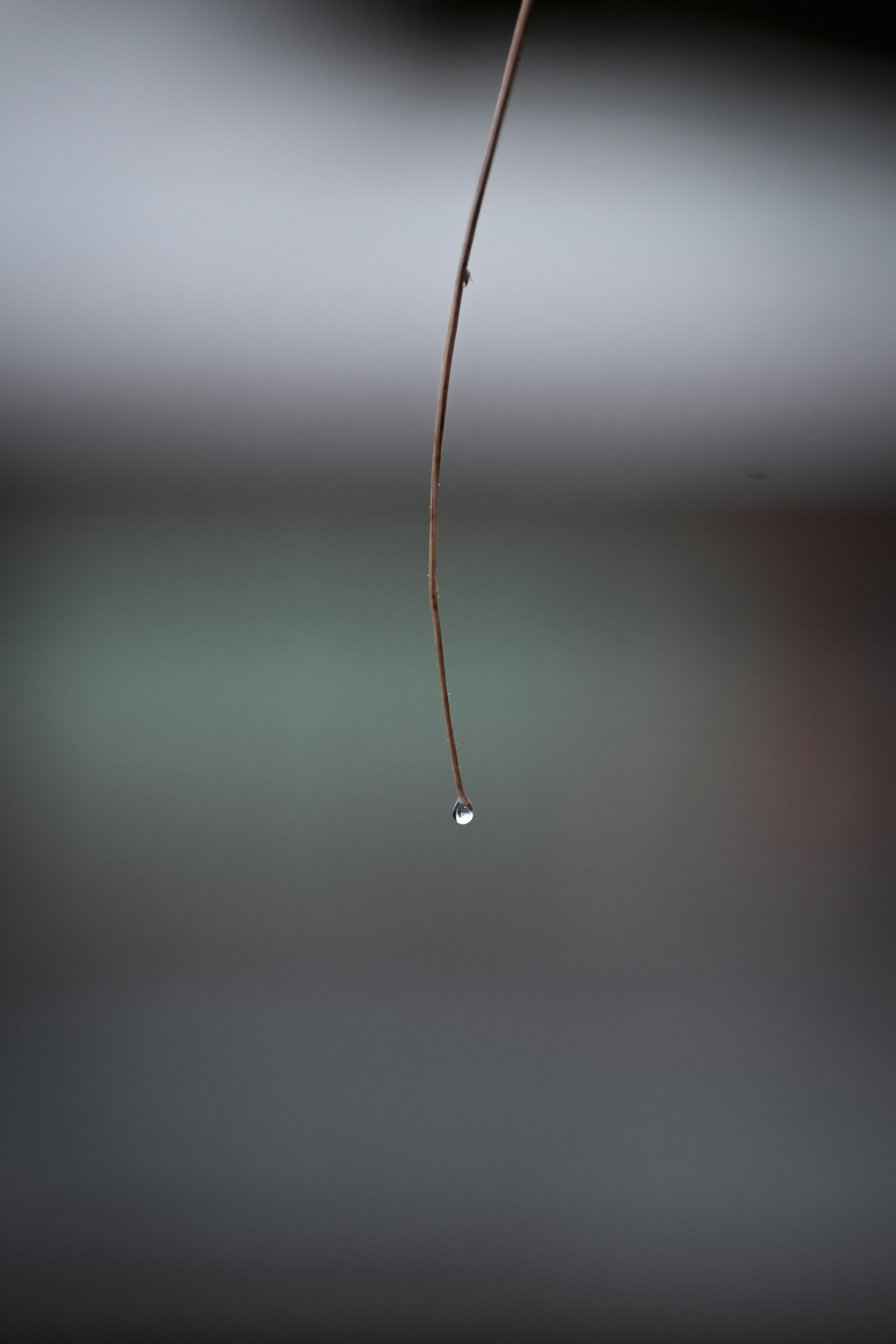 Photo by hurrah_suhail