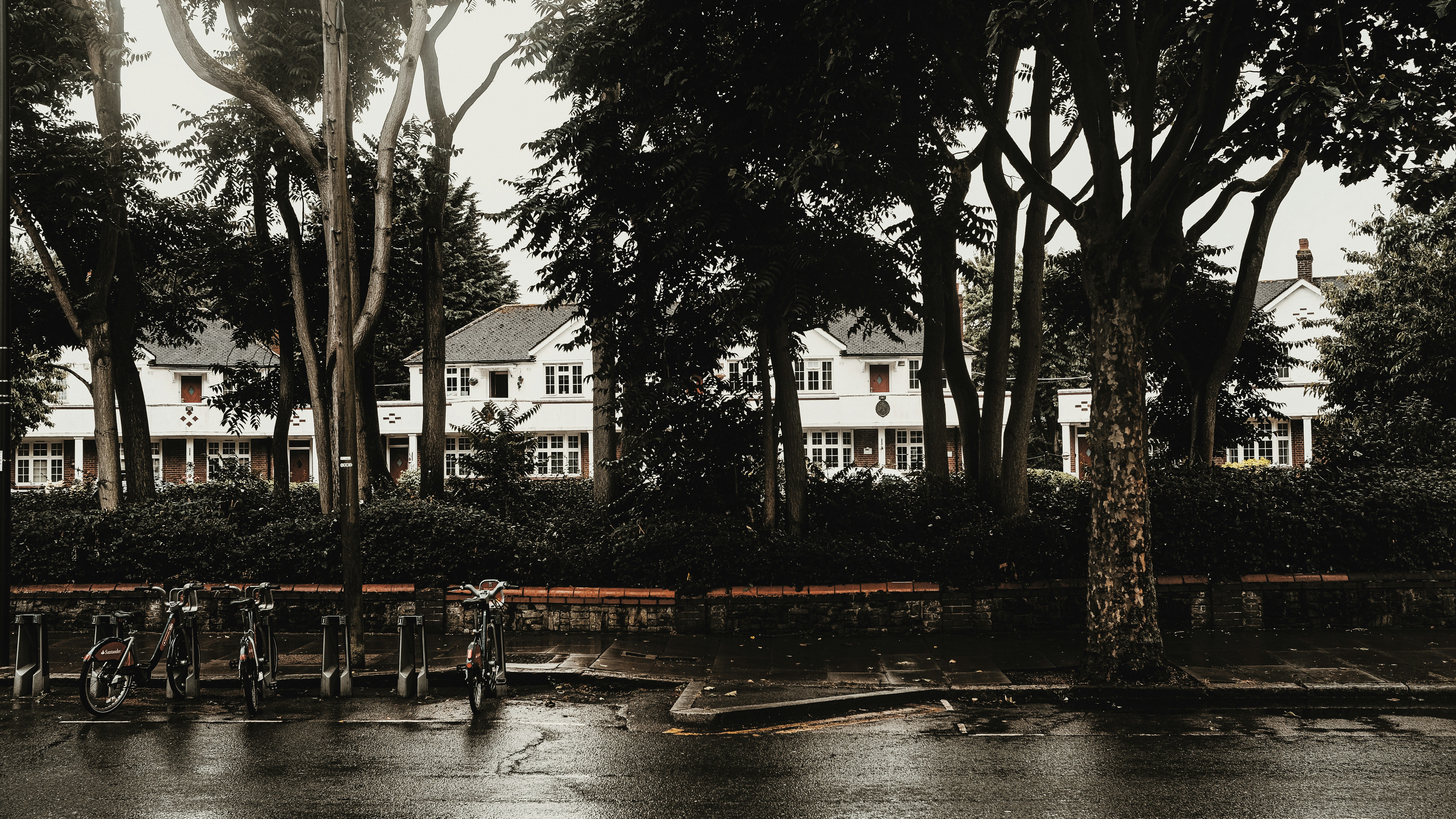 Photo by reganography