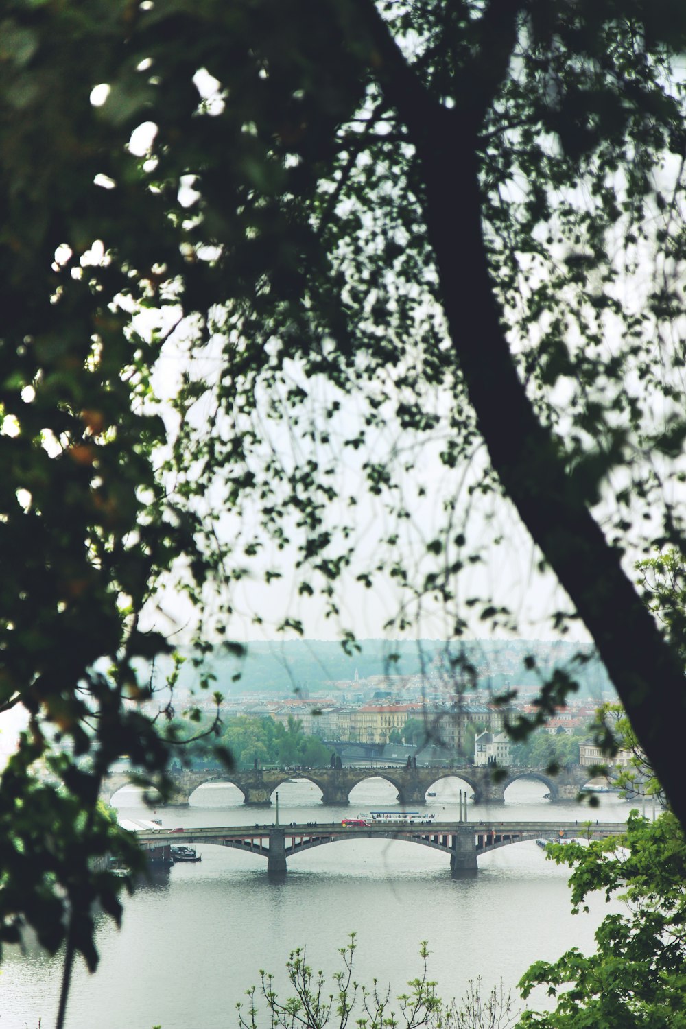 green trees near white building during daytime