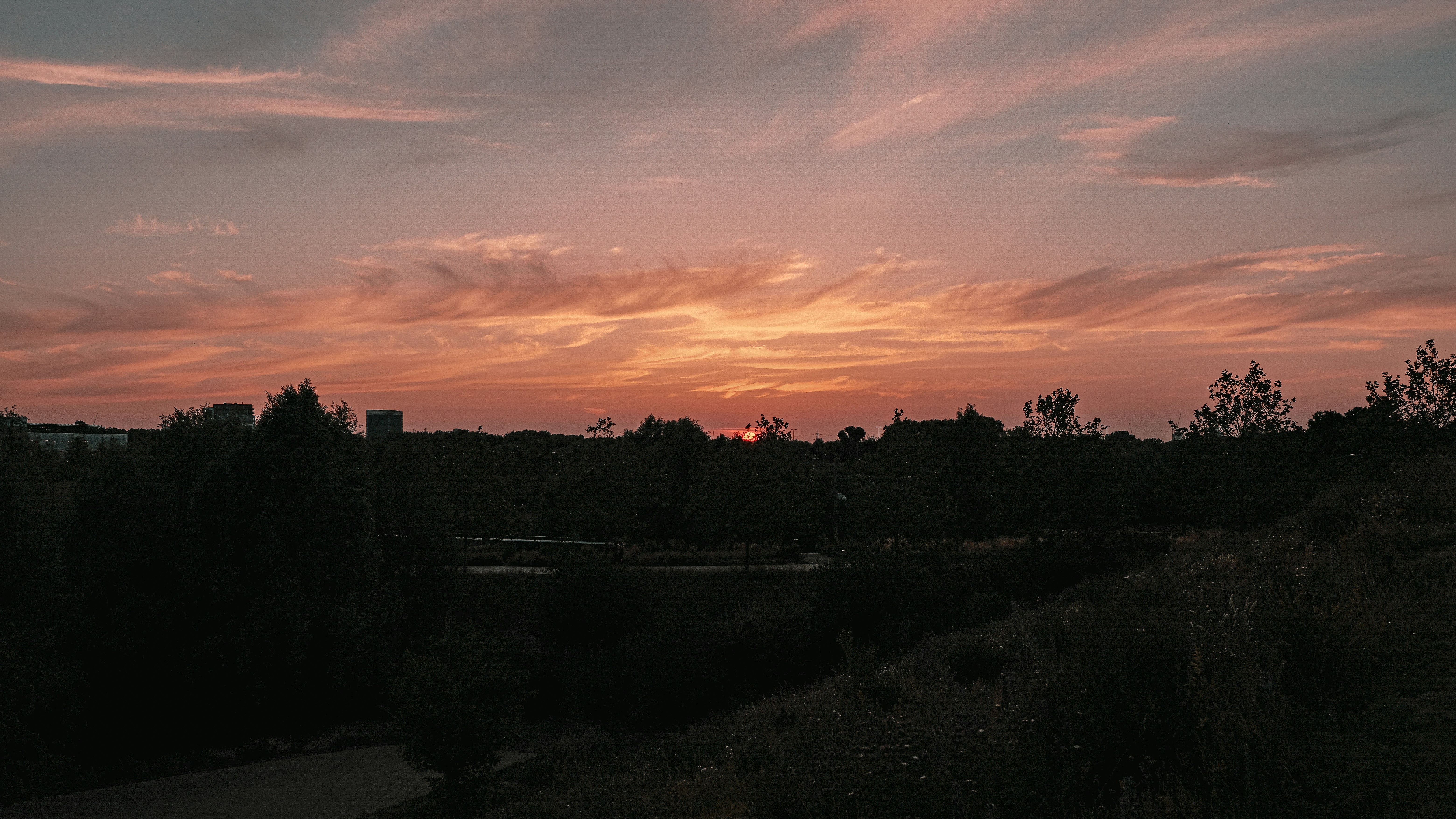 Photo by reganography