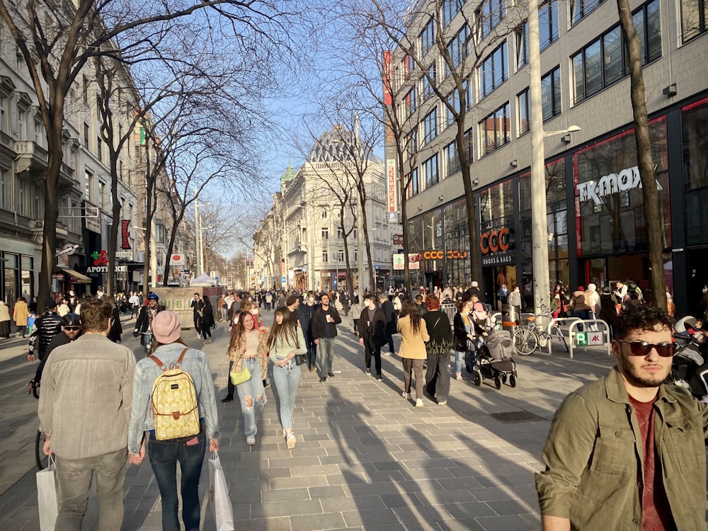 people walking on street during daytime