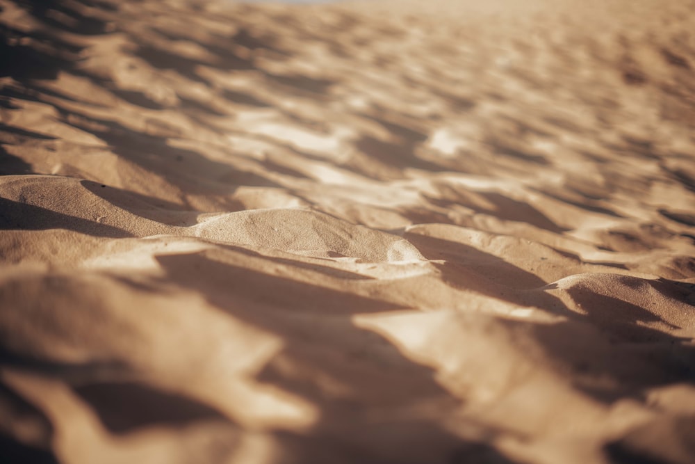 brown sand with water during daytime