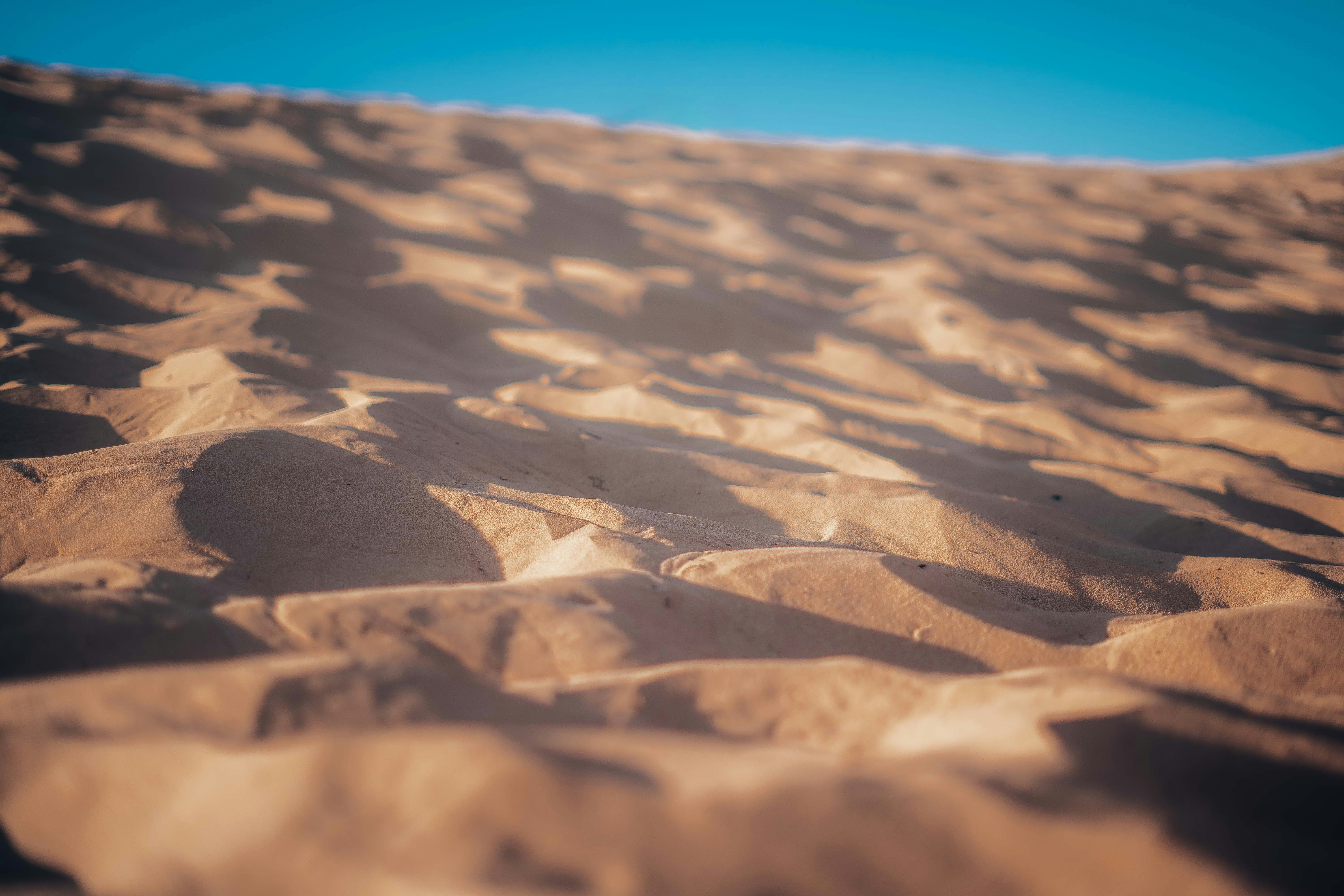 Photo by itadakidesu