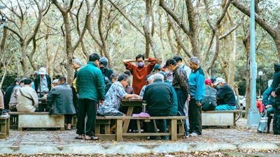 people sitting on brown wooden bench during daytime