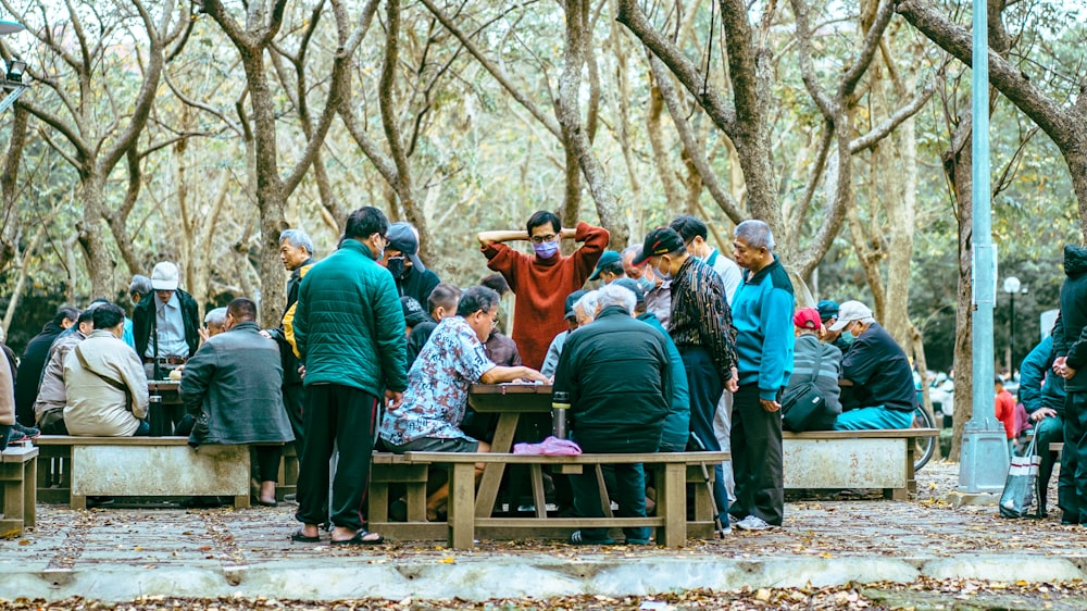 people sitting on brown wooden bench during daytime