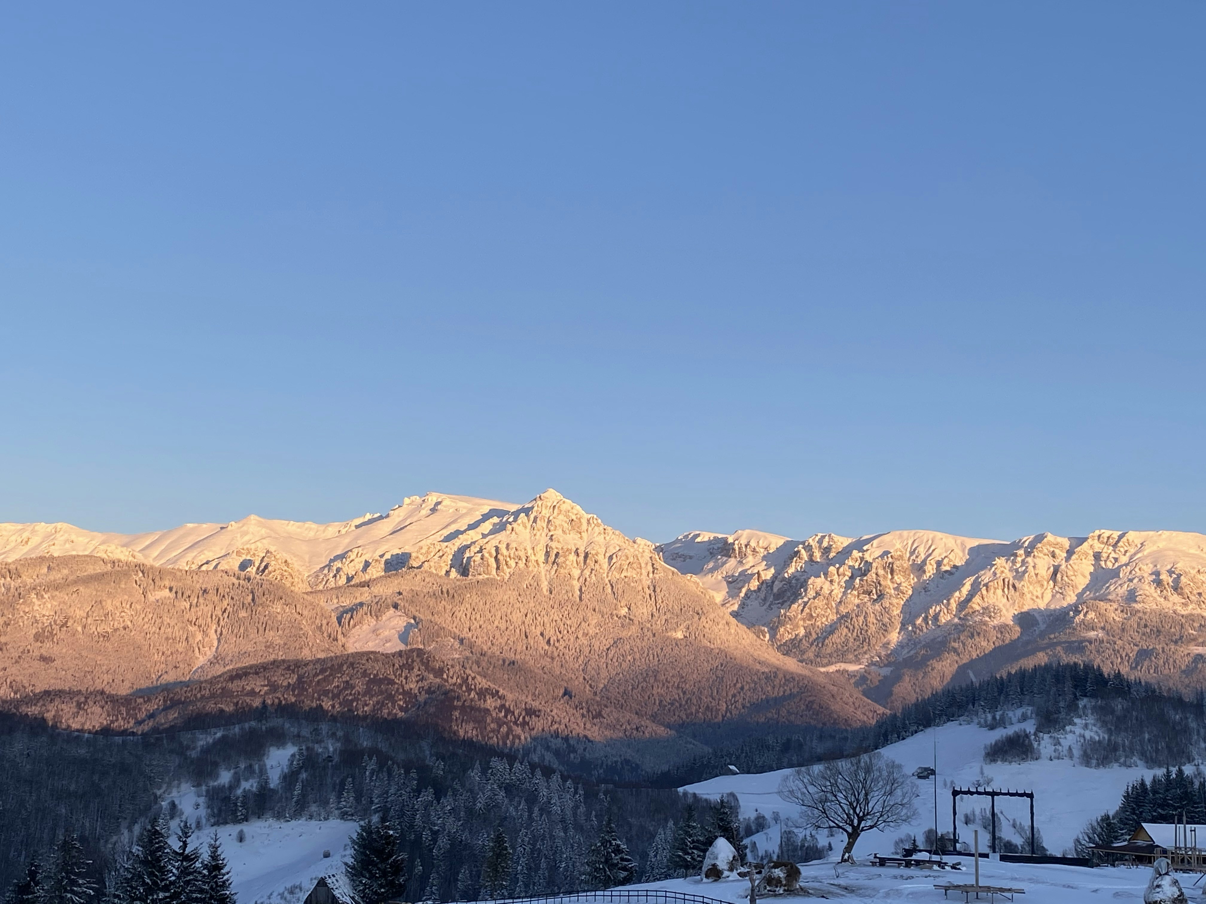 Photo by 13_delendrea_23